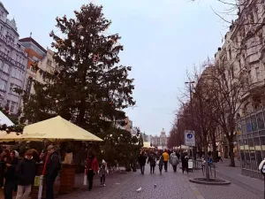 Pronájem obchodního prostoru, Praha - Nové Město, Václavské náměstí, 55 m2