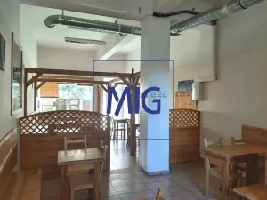 Pronájem obchodního prostoru, Brno, Merhautova, 52 m2