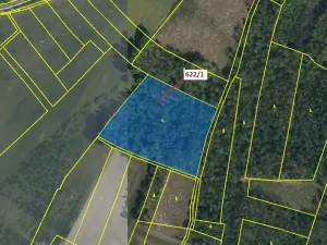 Dražba lesa, Bernardov, 12017 m2