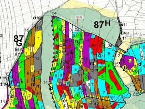 Dražba lesa, Psárov, 15717 m2