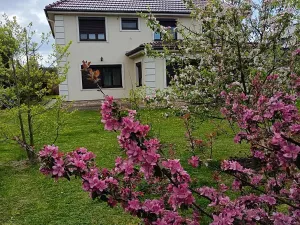 Prodej vily, Svárov, Ptická, 326 m2