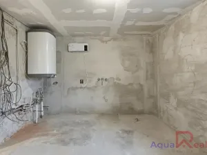 Prodej vícegeneračního domu, Těšovice, 540 m2