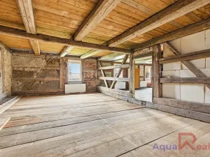 Prodej vícegeneračního domu, Těšovice, 540 m2