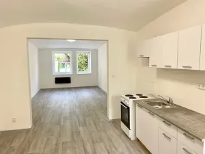 Pronájem bytu 1+kk, Teplice, Souběžná, 50 m2
