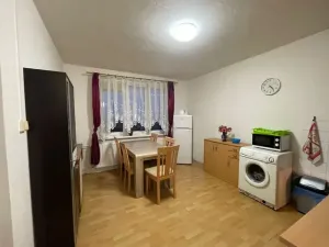 Prodej bytu 1+1, Chomutov, Kamenná, 36 m2