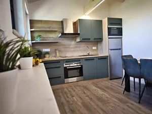 Pronájem bytu 1+1, Liberec, 44 m2