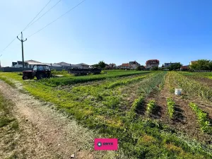 Prodej pozemku pro bydlení, Hodějice, 1062 m2