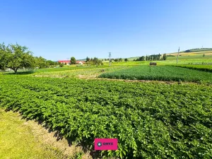 Prodej pozemku pro bydlení, Hodějice, 1062 m2