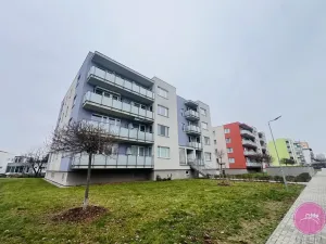 Pronájem bytu 2+kk, Olomouc, Peškova, 55 m2