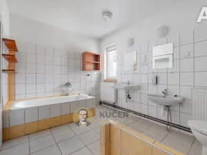 Prodej komerční nemovitosti, Velká Chmelištná, 550 m2