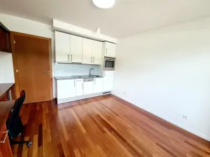 Pronájem bytu 1+kk, Praha - Vysočany, Podnádražní, 26 m2