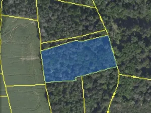 Prodej lesa, Chářovice, 4568 m2