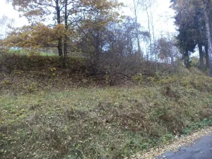 Prodej pozemku, Zlatá Olešnice, 792 m2