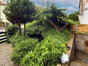 Pronájem bytu 1+kk, Brno, Teslova, 20 m2