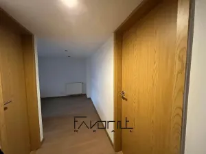 Pronájem bytu 1+1, Ostrava, Korunní, 53 m2