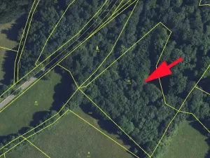 Prodej lesa, Cotkytle, 7064 m2