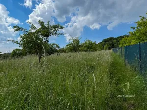 Prodej pozemku pro bydlení, Vřesovice, 2455 m2