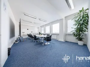 Pronájem kanceláře, Olomouc, Karolíny Světlé, 80 m2