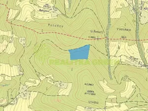 Prodej lesa, Růžďka, 21209 m2