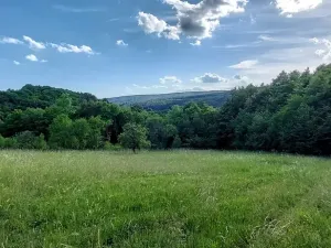 Prodej pole, Březůvky, 9747 m2