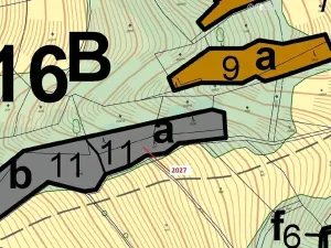 Dražba lesa, Hovězí, 1252 m2