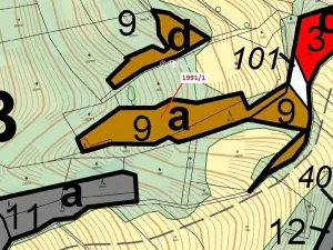 Dražba lesa, Hovězí, 2438 m2
