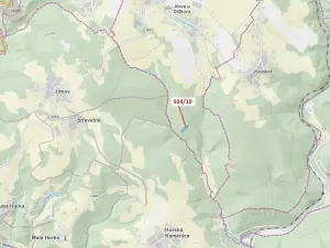 Dražba lesa, Jílové u Držkova, 4305 m2