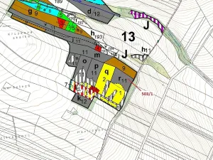 Dražba lesa, Přemyslovice, 7049 m2