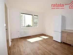 Pronájem bytu 1+1, Chomutov, Březenecká, 33 m2