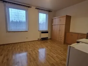 Prodej bytu 1+kk, Štěnovice, Čižická, 27 m2