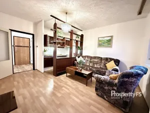 Pronájem bytu 1+1, Ústí nad Labem - Severní Terasa, Rabasova, 42 m2