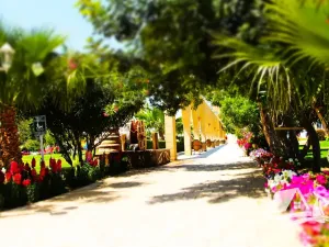 Prodej bytu 2+1, Trikomo, Kypr, 75 m2