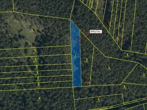 Dražba lesa, Vracov, 1702 m2