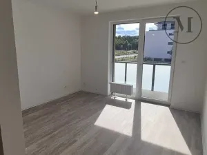 Pronájem bytu 2+kk, České Budějovice, Branišovská, 67 m2