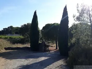 Prodej zemědělské usedlosti, Carsan, Francie, 386 m2