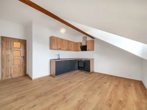 Pronájem bytu 3+kk, Plzeň, Dvorní, 61 m2