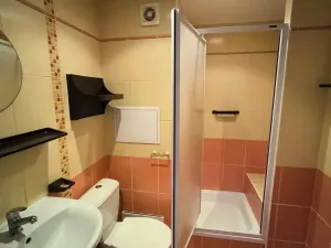 Pronájem bytu 1+kk, Děčín, Želenická, 25 m2