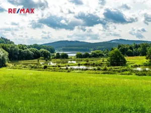 Prodej komerčního pozemku, Nová Pec, 9752 m2