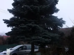 Prodej podílu rodinného domu, Zlín, Václavská, 400 m2