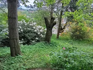 Prodej rodinného domu, Drslavice, 86 m2