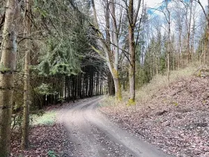 Prodej chalupy, Rychnov u Jablonce nad Nisou, 160 m2