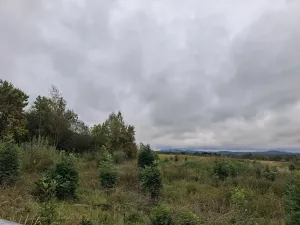 Prodej komerčního pozemku, Chodov, Nejdecká, 3546 m2