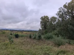 Prodej pozemku, Chodov, Nejdecká, 3546 m2