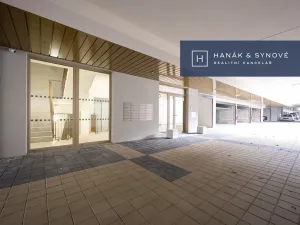 Pronájem bytu 1+kk, Brno, Cejl, 32 m2