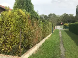 Prodej chaty, Nymburk, 59 m2