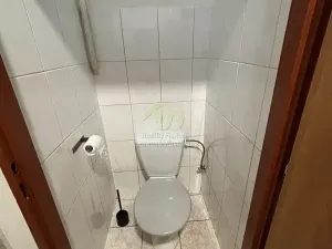 Pronájem bytu 2+1, Plzeň, Lindauerova, 55 m2