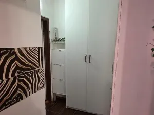 Pronájem pokoje, Praha - Holešovice, U smaltovny, 19 m2