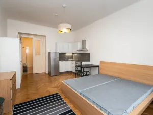 Pronájem bytu 1+kk, Praha - Nové Město, Lípová, 33 m2