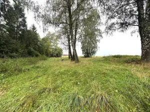 Prodej pozemku, Lučina, 2602 m2