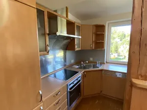 Pronájem bytu 5+kk, Liberec, Wintrova, 150 m2